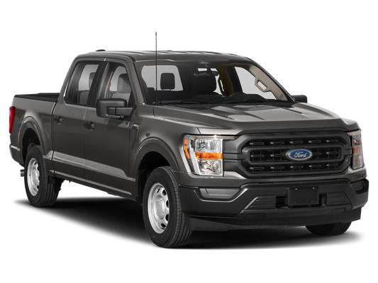 2021 Ford F-150 XL in Wyoming, WY - Fremont Motor Company