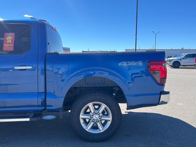 2024 Ford F-150 XLT