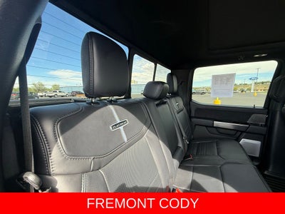 2025 Ford F-350SD Platinum