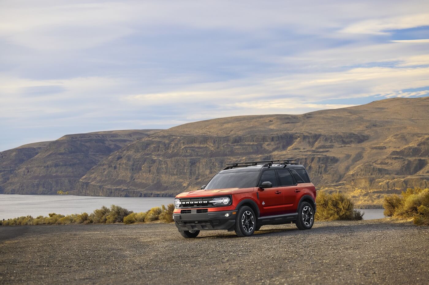 Ford Inventory