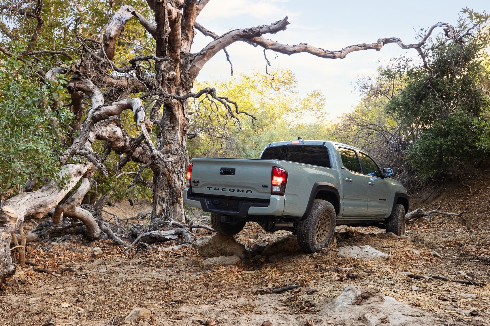 2022 Toyota Tacoma