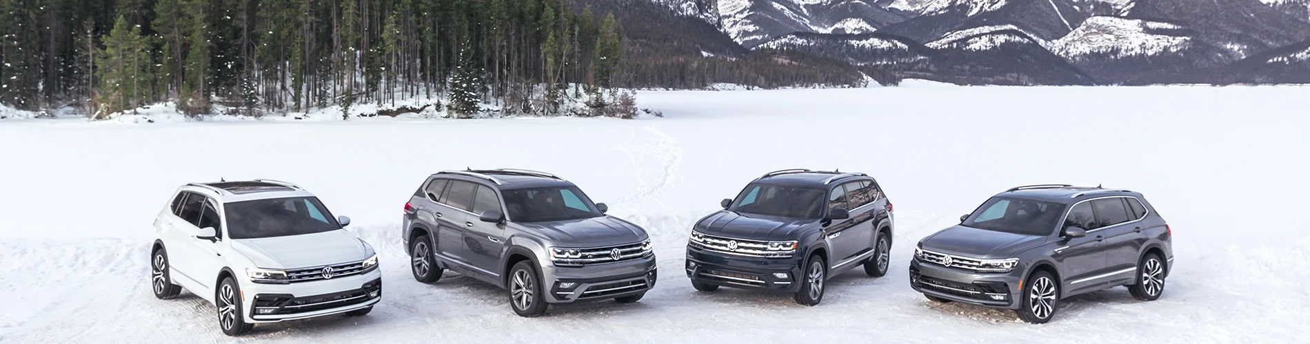 Volkswagen Dealership Wyoming